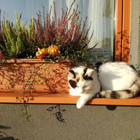 Lunatyk * Liptovsky Mikulas