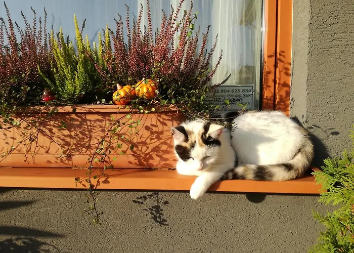 Lunatyk * Liptovský Mikuláš